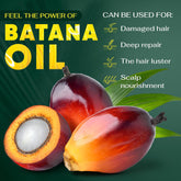 Batana Oil for hair Growth - Dr. Sebi-inspired 100% Pure & Organic Raw Batana Oil Prevent Hair Loss, Promotes Hair thickness for Men & Women - 5.29 oz